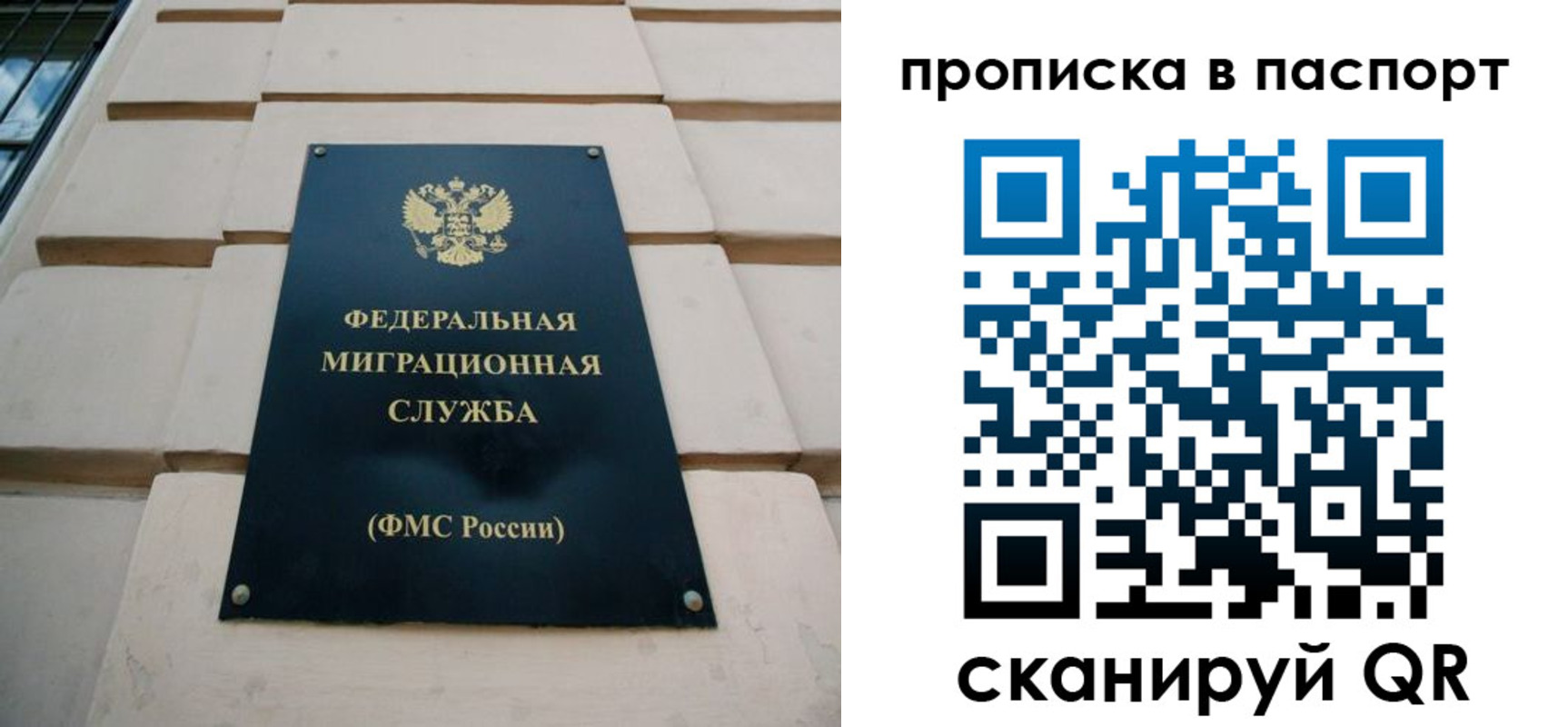 найти адрес прописки в Елизово